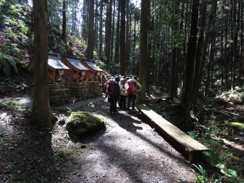 日和田山、物見山